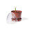 Propagation Pots Set of 6, Without Storage Box, 6 er Set 1
