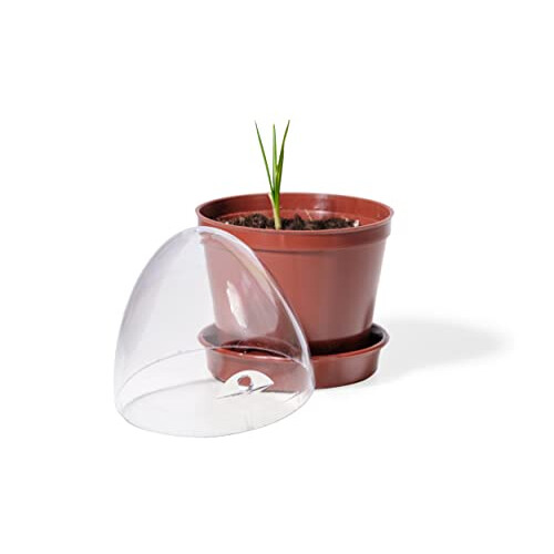 Propagation Pots Set of 6, Without Storage Box, 6 er Set