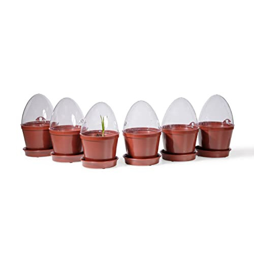 Propagation Pots Set of 6, Without Storage Box, 6 er Set 2