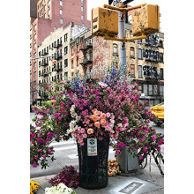 Ravensburger Puzzel Moment: Bloemen in New York 300 Stuk Jigsaw Puzzel voor Volwassenen - 12964