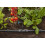 Gardena Micro-Drip-System Reducing T-Piece: Practical T-connection for transition between 13-mm pipe and 4.6-mm pipe, Quick & Easy connection technology, 5