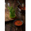 Herb Saver 7