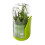 Herb Saver 1