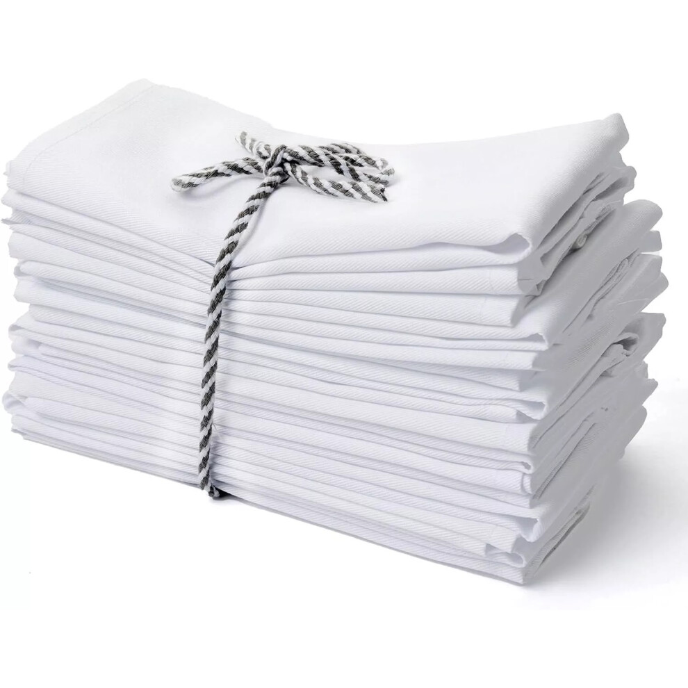 (Pack of 6) 100% Egyptian Cotton White Napkins Premium Hotel Quality Soft Dinner Napkins Washable