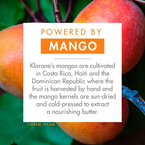 Klorane Solid Shampoo Klorane al Mango 80 g 2