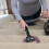 Bissell Brush Tool 6" SpotClean - 15 cm (bag) 3