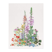 Thea Gouverneur - Geprikt Borduurpakket - Amerikaanse Wilde Bloemen - Aida - 16 Draad - Borduurkits voor Volwassenen - DMC Draad