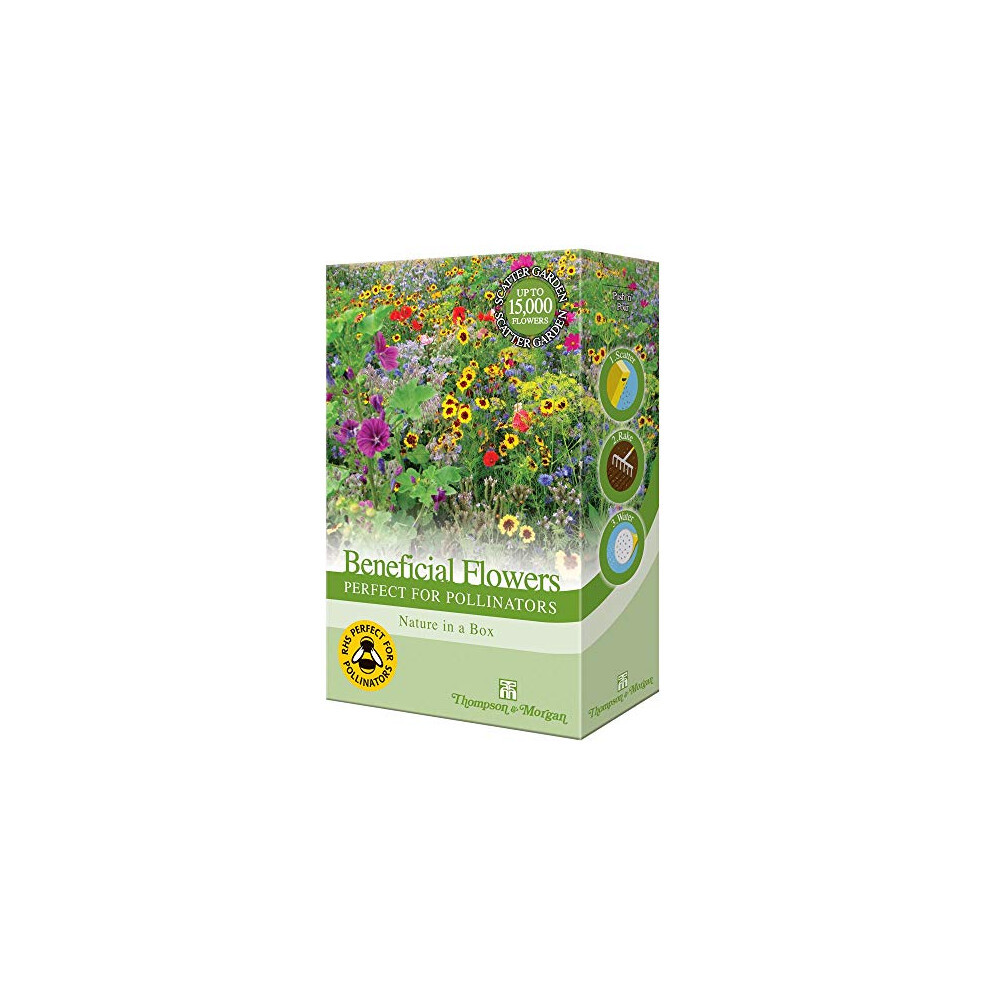 "Mixed Flower Garden Plant Seed Grow Your Own Annual & Perennials Such As Foxgloves, Mallow & Wallflowers Attracting Pollinators Pack by Thompson &