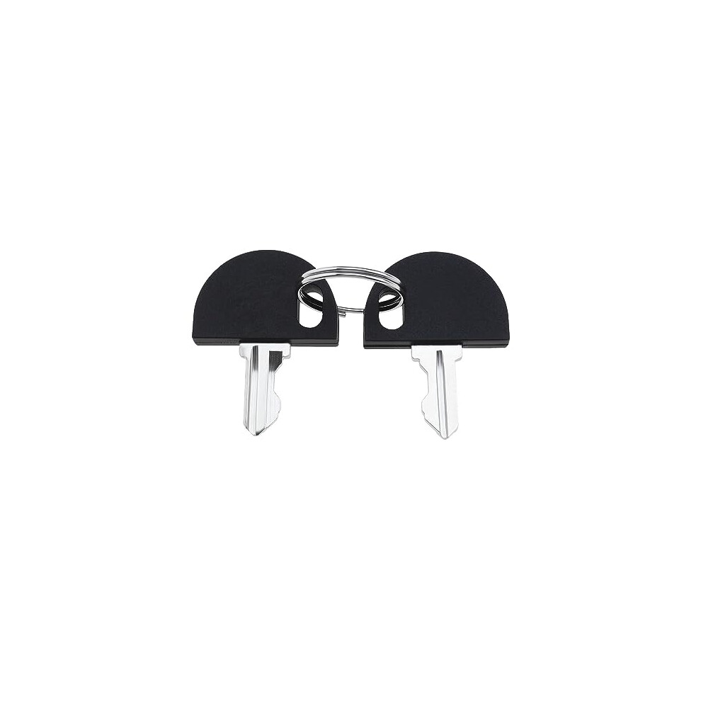 Emsea 2Pcs Ignition Keys Compatible With Pride Compatible With Go-Go Sport Mobility Scooters Compatible With Pride Victory Compatible With Pride Sonic Power