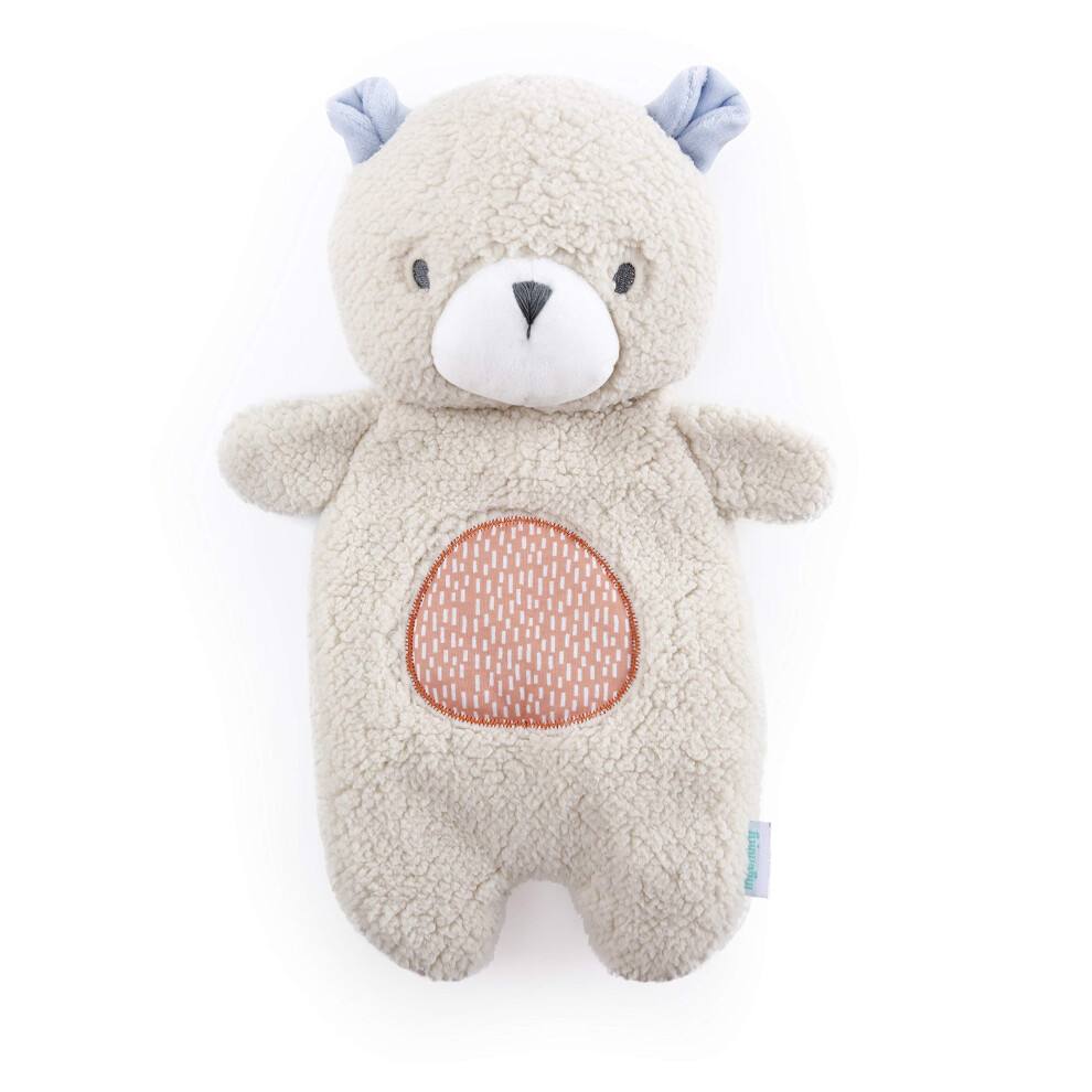 Ingenuity Premium Soft Mini Bean Bag Plush Nate The Teddy Bear Ages Newborn And Up.