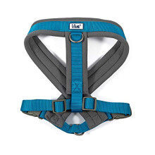 Viva Padded Harness Blue L 52-71cm