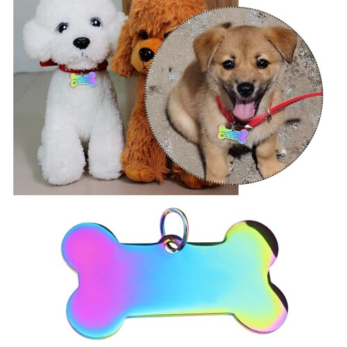 Dog tag toy on sale