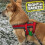 Ancol Viva Padded Harness Red XL 70-98cm 4