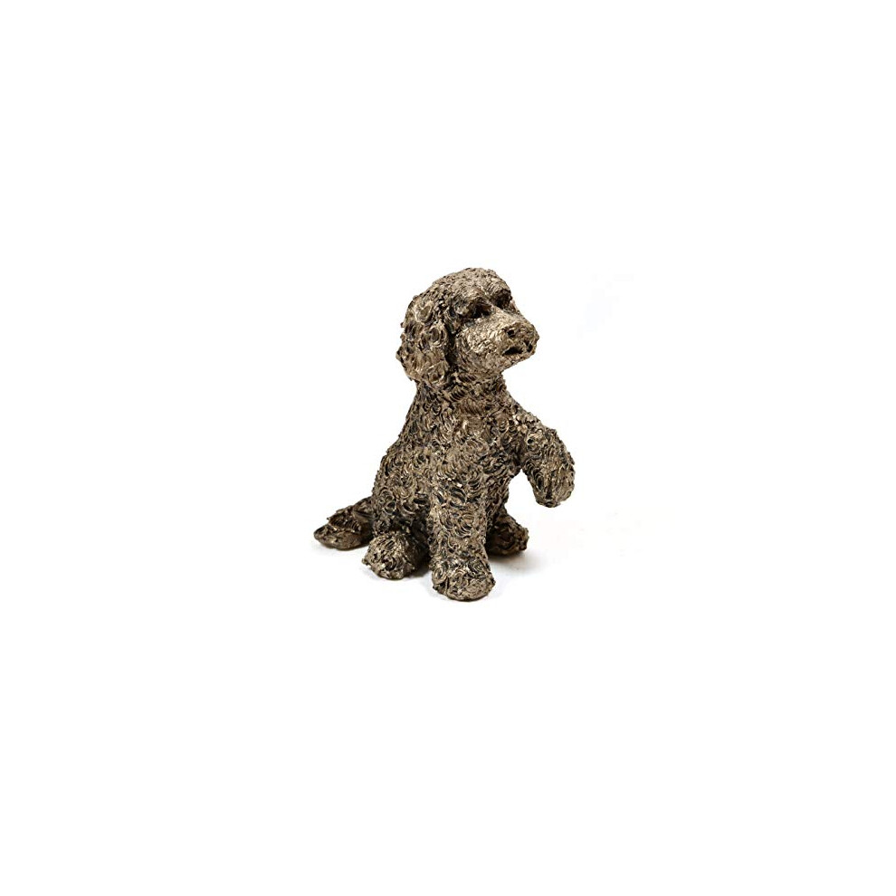 Bronze Cockapoo Adrian Tinsley