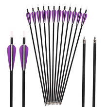 31" Carbon Arrow for Archery 350 Spine Hunting Arrows with 100 Grain Screw in Tips Target Arrow for Recurve Bow Compound Bow