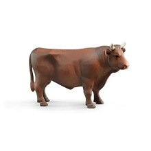 Bull - Brown