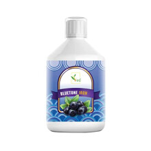 Liquid Iron Supplement - Bluetone, Suitable for Vegans and Vegetarians, Iron Supplement, Natural Iron in Mixed Fruit Flavor - 500 ml, 15 ml dose per