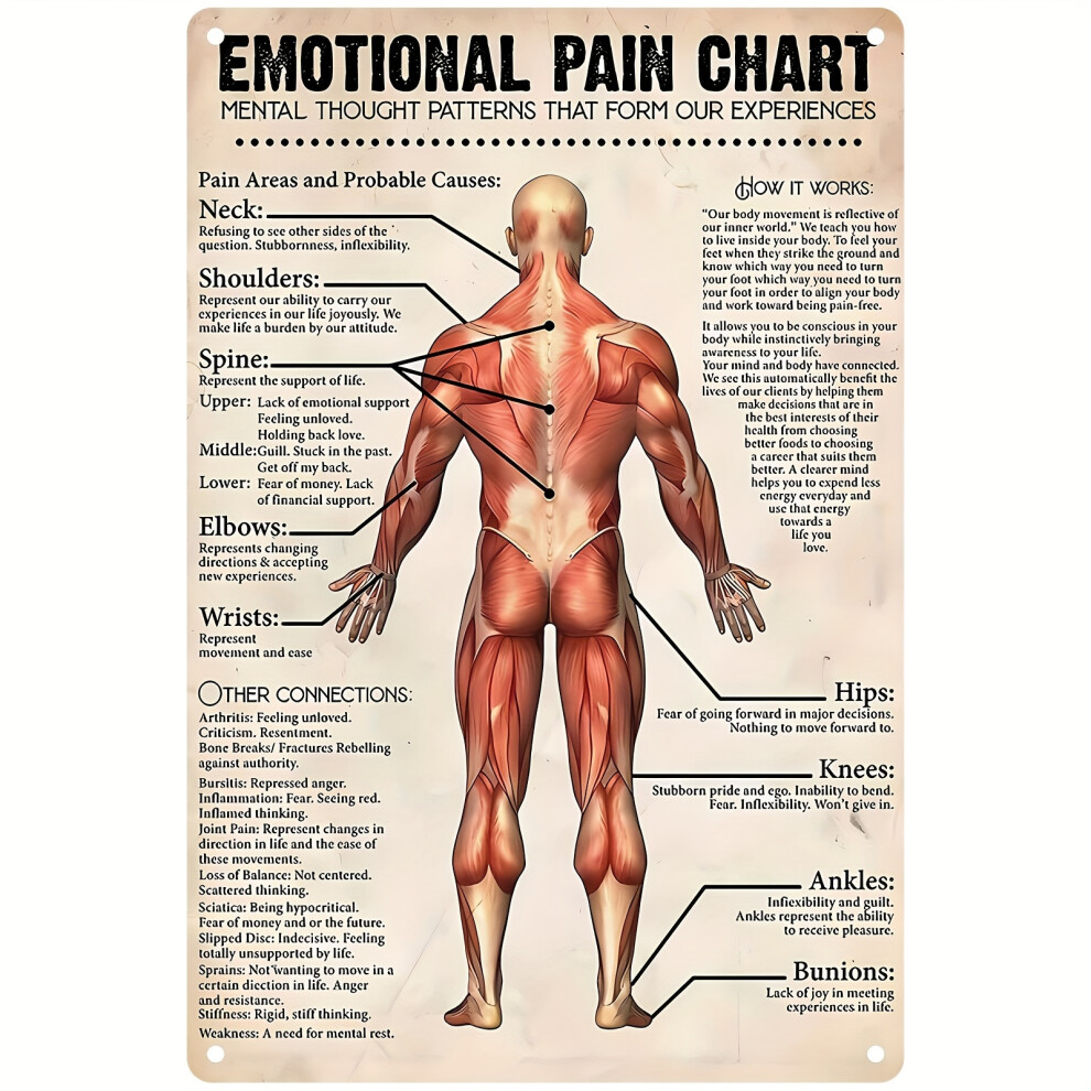 Massage Therapist Emotional Pain Chart?Wall Decoration, Home Decor, Decoration Room 12x8 Inches