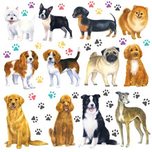 DS-8045 12 Dogs Wall Stickers Puppy Pet Paw Print Learning Dog Breed Decals for Kids Nursery Bedroom Living Room Art