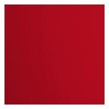 Florence Smooth Cardstock, Poppy Red, 216 Grams, 12x12 inches, 20 Sheets, for Scrapbooking, Card Making, Die Cutting and Other Paper Crafts, 30.5 x 30