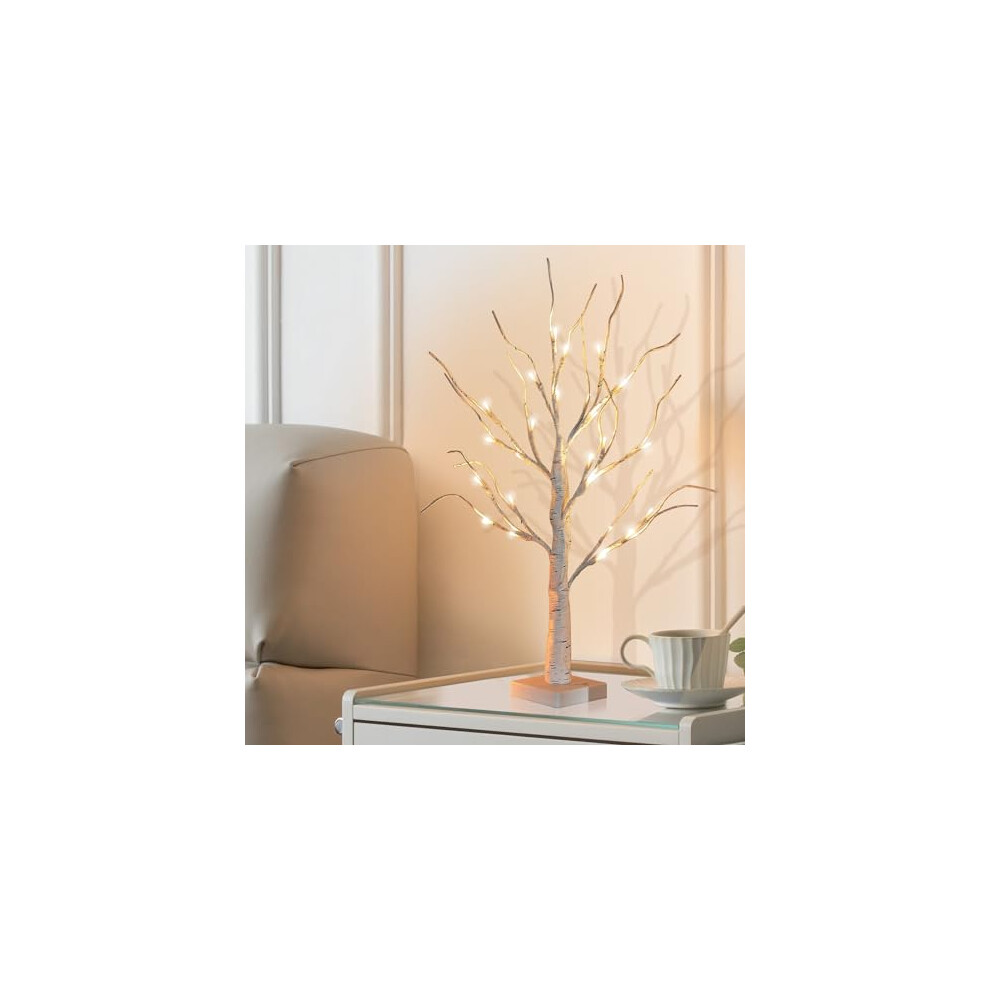 2FT LED Birch Twig Lights, Home Decorative Twig Tree with Lights, Mini Birch Twig Tree Ornament with Warm White 24 LED Battery/USB Powered, Decoration