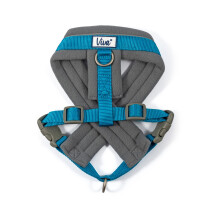 Viva Padded Harness Blue M 41-53cm