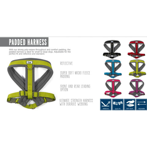 Ancol Viva Padded Harness Blue M 41-53cm 2