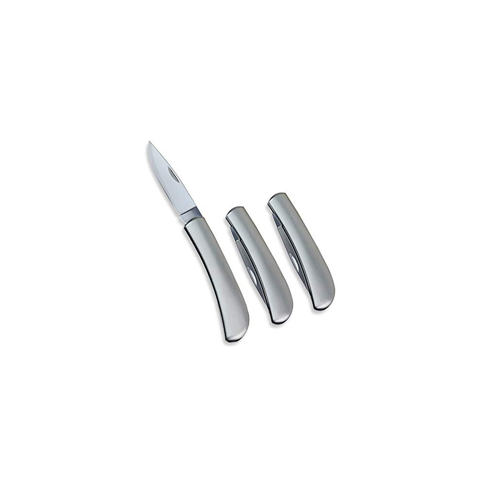 Fruit Knife, All Steel Foldable Fruit Knife Set, Exquisite and Beautiful, Small and Easy to Carry, Foldable Fruit Knife Suitable for Most Types of