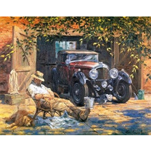 Art Supplies Yard Car Old Men & Dog DIY Paint by Numbers Kits 40 x 50cm with Painting Brushes Canvas (No Frame)