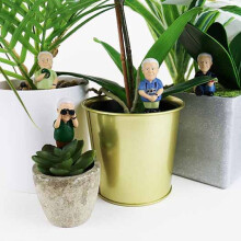 - Attenborough Explorers Plant Markers - These Attenborough Explorers Will Look After Your Plants, 9.5x14.5x3.5 cm