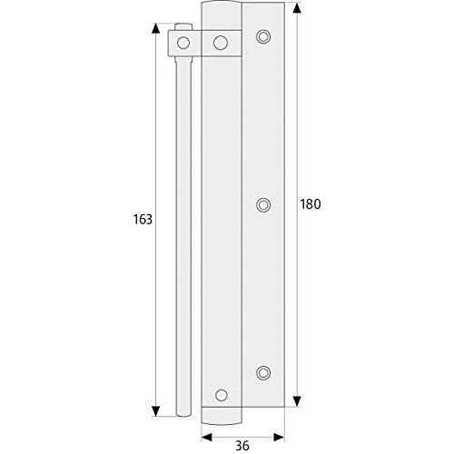 Abus Door Closer TS40 AL 2