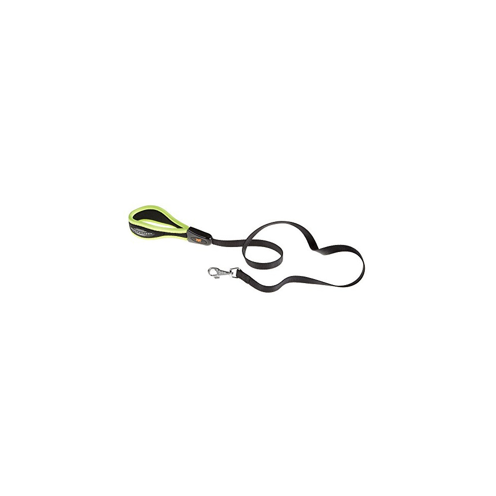 Ergofluo Dog Lead, 15 mm x 120 cm, Green