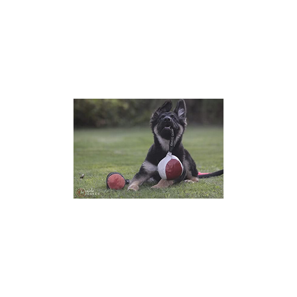 DINGO GEAR Soft Genuine Leather Ball with a Handle for the Bite Training, Ø 11  cm Retrieve and Reward Dog Toy S02779, Random on OnBuy