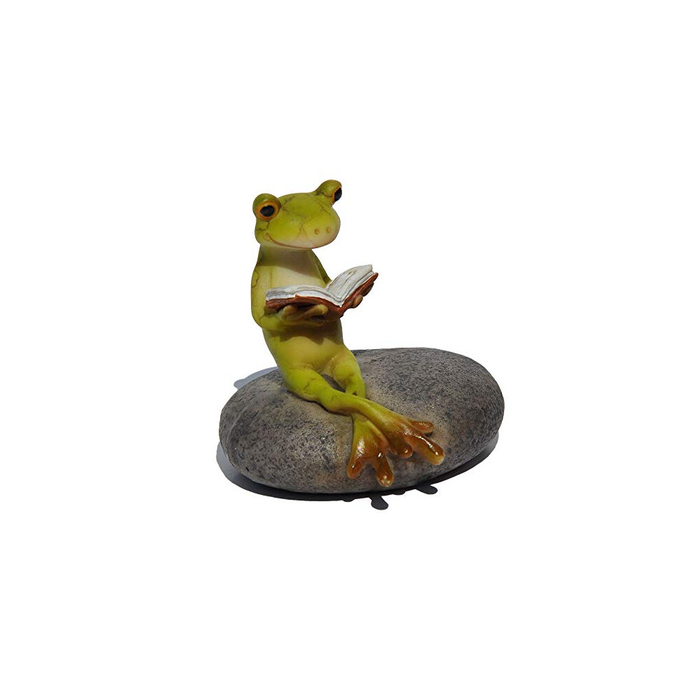 Miniature Fairy Garden and Terrarium Frog Reading on Stone Statue