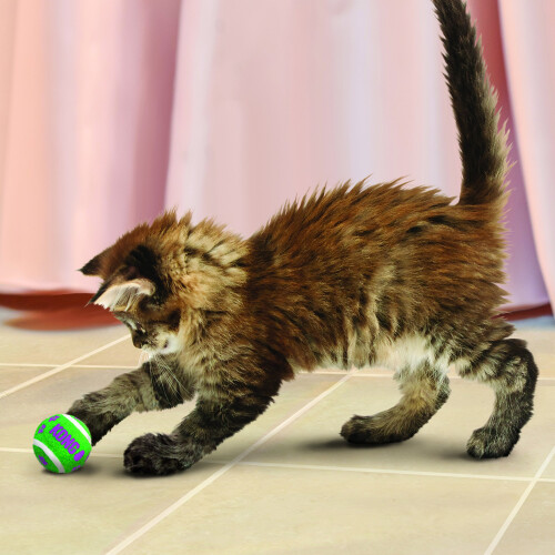 KONG - Cat Active Tennis Balls with Bells - Cat Play Toys with Interior Bell - 3 Pack 2