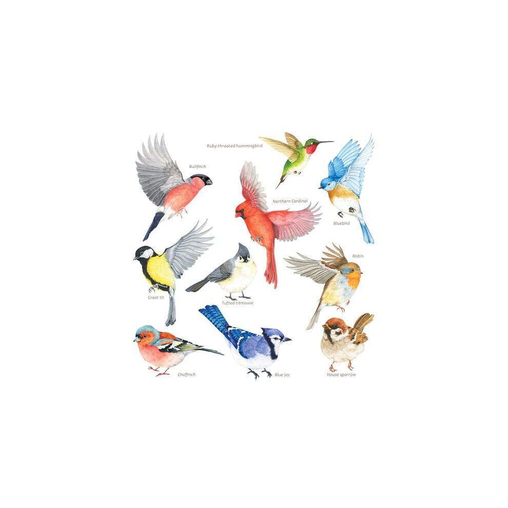 CDS2-9001 10 Beautiful Garden Birds Static Cling Window Stickers Reuseble for Prevent Glass Clings Flying Anti Collision Bird Strike Window Decals -