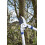 Spear & Jackson 27' Dual Geared Bypass Lopper 4