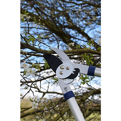 Spear & Jackson 27' Dual Geared Bypass Lopper 2