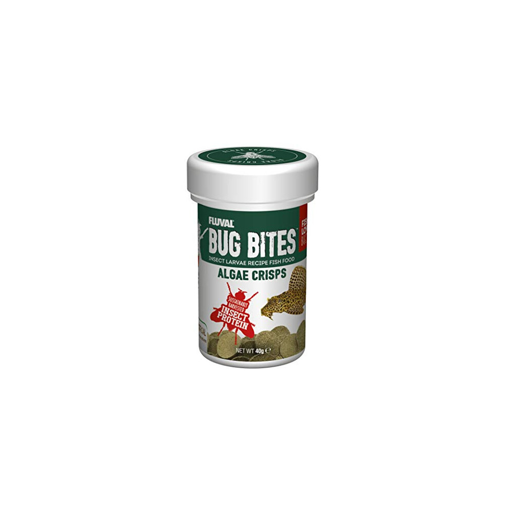 Bug Bites Algae Wafers 40g