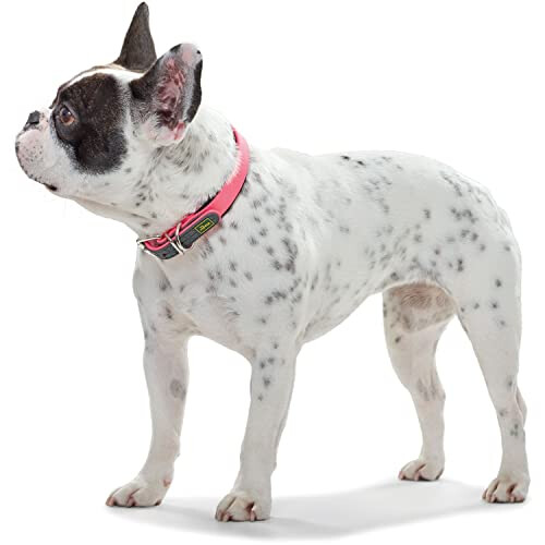Hunter - Comfort Collar 32-40 cm Convenience pink 2