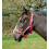 Nylon Headcollar - Full - Raspberry 1