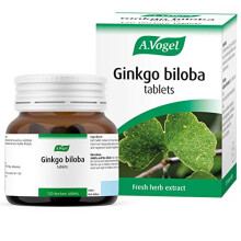 Ginkgo Biloba Tablets | Food Supplement | Extract from Fresh Ginkgo biloba Leaves | Suitable for Vegetarians | 30 Days Supply | 120 Tablets