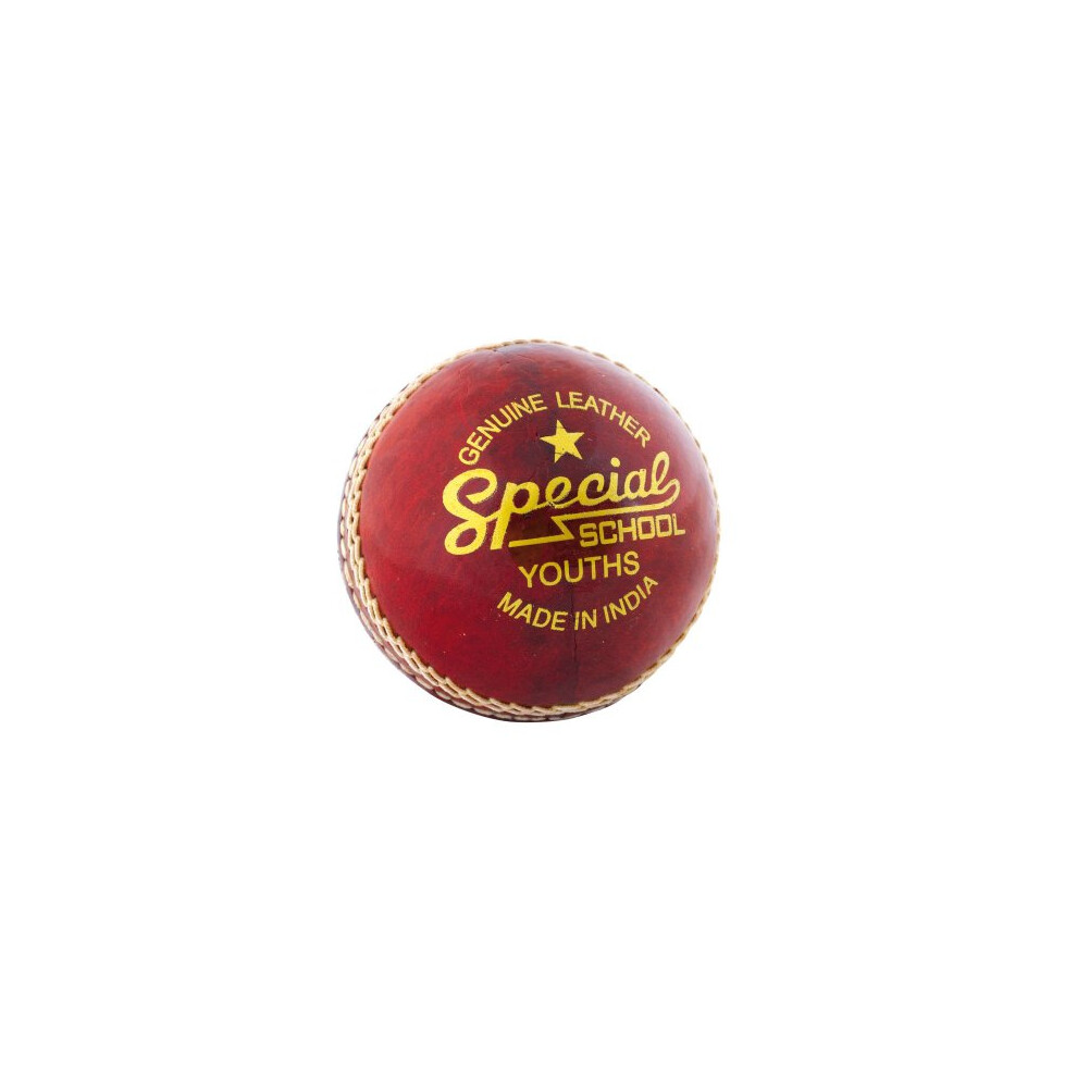 Special School Leather Cricket Ball Youths 4.75oz