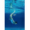 Arena Unisex The One Goggles 7