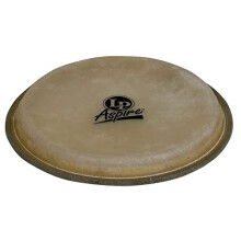Testa per bongo LP Aspire da 6,75""""