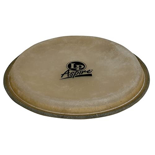 Testa per bongo LP Aspire da 6,75""""