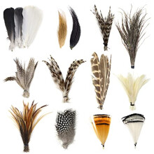 Fly Tying Materials Starter Kit 12 Species Fly Tying Feathers Hair