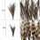 Fly Tying Materials Starter Kit 12 Species Fly Tying Feathers Hair 3