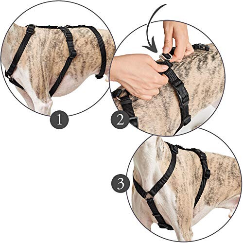Hunter Escape-proof harness Vario Rapid, S brown, Nylon 1