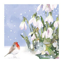 Ling Design Pack of 6 Artistic Charity Christmas Cards - 'Robin & Snowdrops' - 6 Cards of 1 Illustrated Design - From The Great British Card Company,